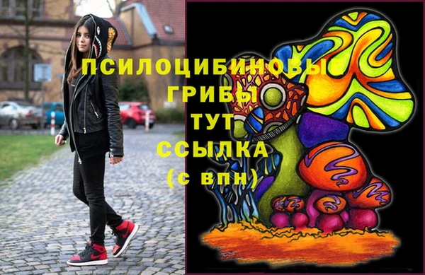 соль ск Балабаново